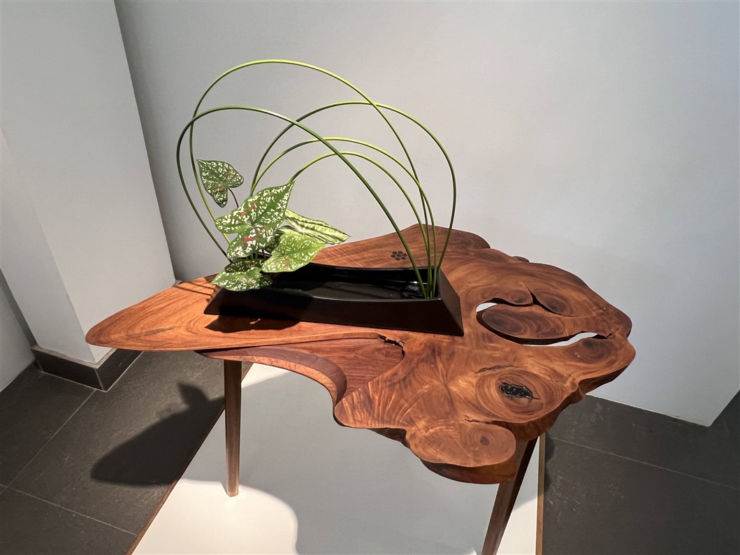 Ikebana by Valeria (photo Manohar)