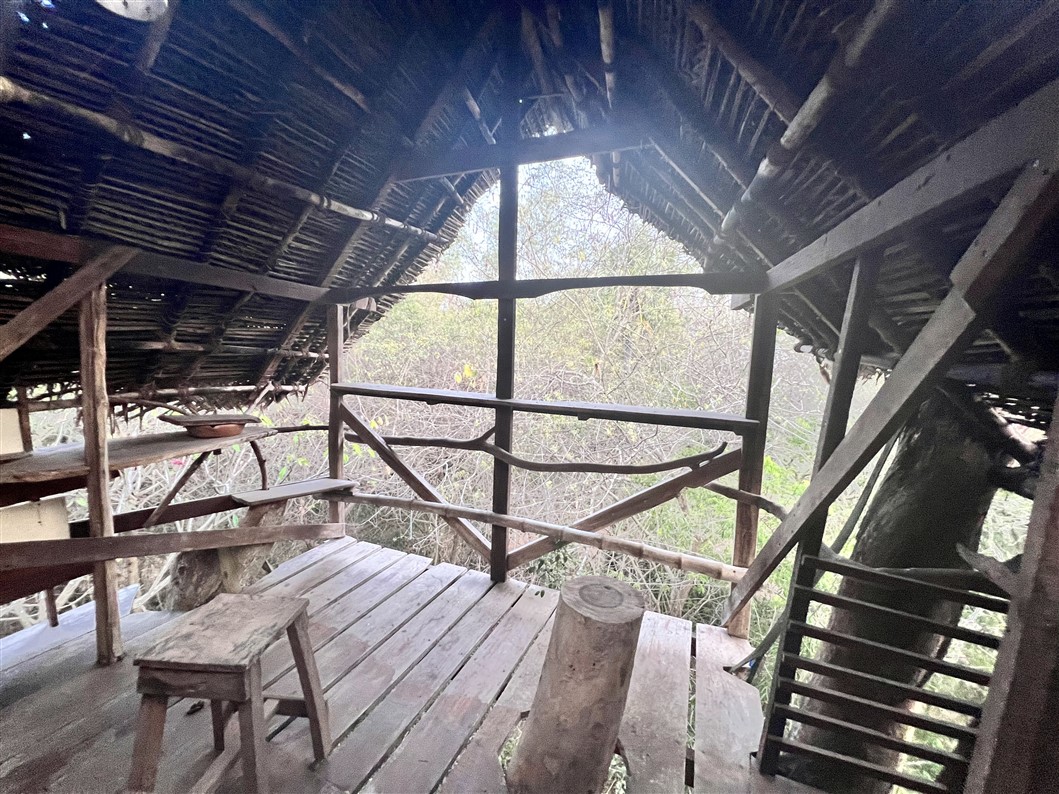 Tree house (photo Manohar)